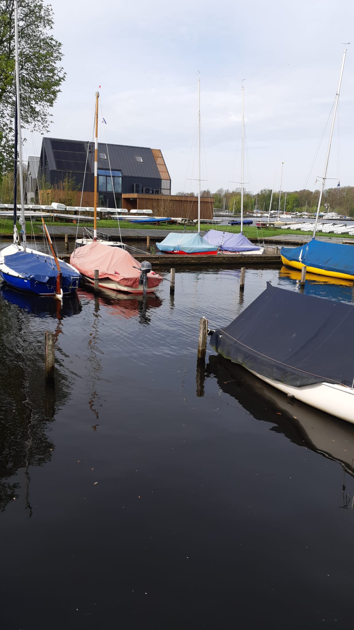 Boten Kopen